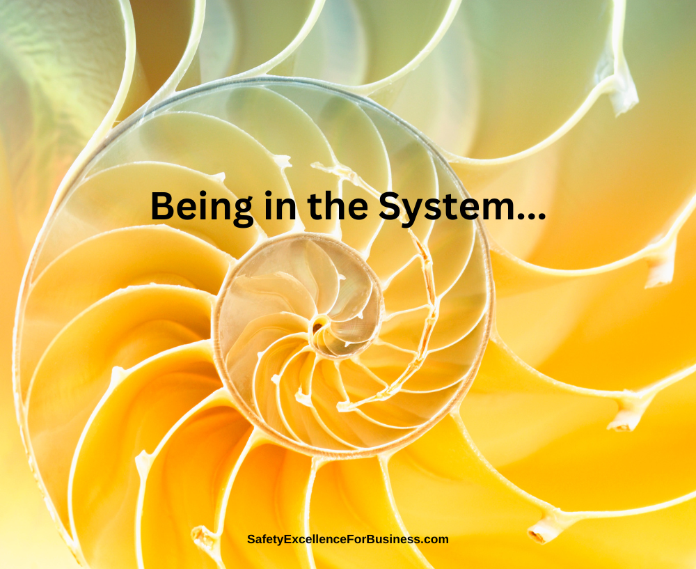 being in the system and wholly integrated with the system